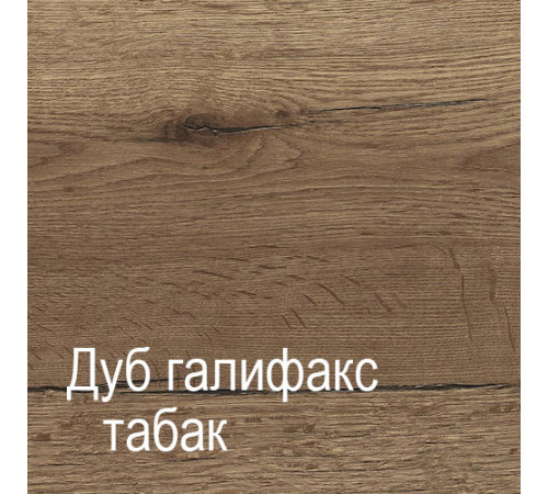 Трехстворчатый шкаф-купе для одежды Г-14 (ДГТ) Гарда с зеркалом